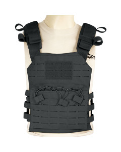 Laser-Cut Plate Carrier