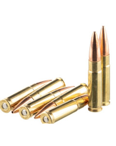 BAS Bulk Ammo Solutions 300 BO Hornady HP 155gr BTHP 200rd Bulk Pack Reman