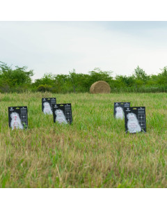 Ethical Harvest Prairie Dog 3-Pack