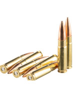 Bulk Ammo Solutions 300 BO 220gr Hornady Subsonic 200rd Bulk Pack