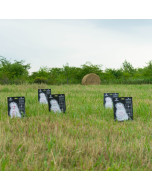 Ethical Harvest Prairie Dog 3-Pack
