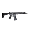 Category Braced Firearms image